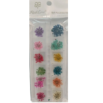 Decoração Flor Seca - Real Love